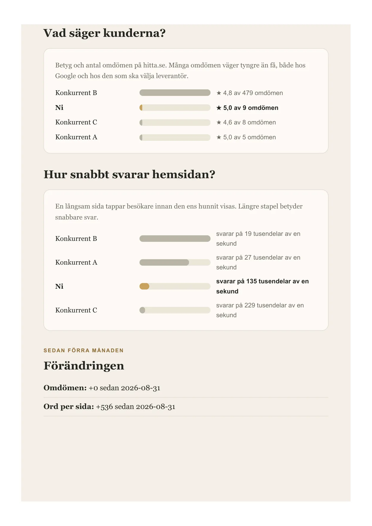Exempelrapportens andra sida: siffrorna per företag, sidor Google kan läsa, ord per sida, omdömen och laddtid